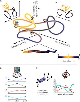 The time-evolving epileptic brain network: concepts, definitions, accomplishments, perspectives